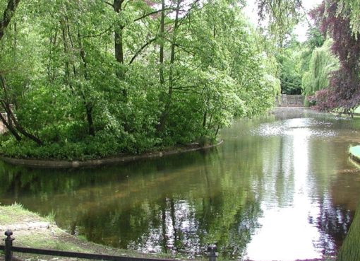 Teich im Stadtpark Lichtenberg