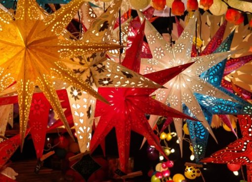 Weihnachtssterne auf Adventsmarkt