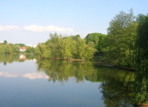 Obersee