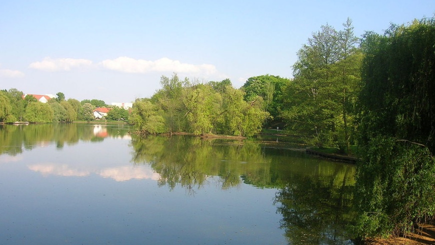 Obersee