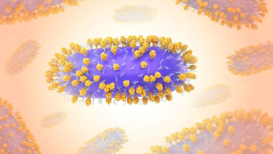 Respiratorisches Synzytial-Virus (RSV)