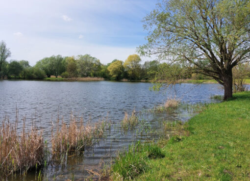 Der Mühlensee in Oberkrämer ist eine Attraktion für Wanderer und Radfahrer.