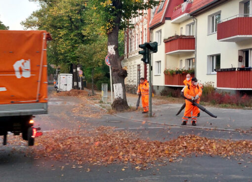 BSR-Laubbläser im Einsatz